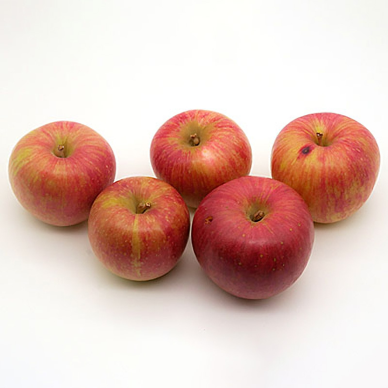 ★フルーツ王国山形★【ご家庭用】小玉サンふじりんご(無