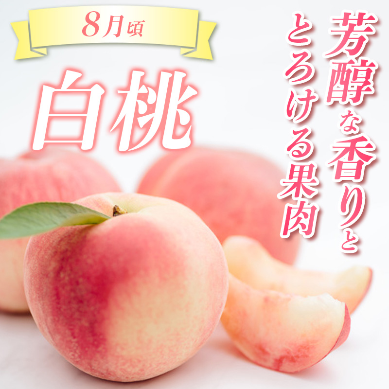 【定期便3回】☆んま～い山形☆山形フルーツ売れ筋3種定期