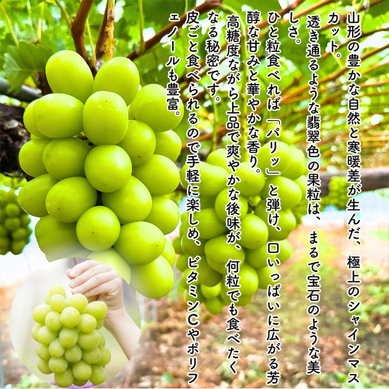 みちのく果実帖 シャインマスカット3房 約1.9kg 【令和8年産