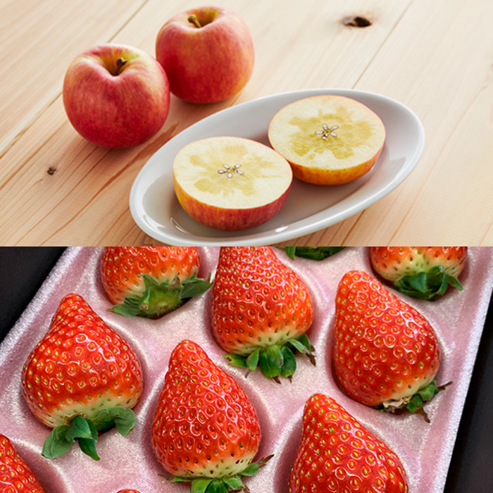 【定期便5回】山形市☆冬のフルーツ定期便 【令和8年産先