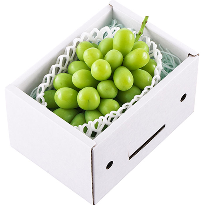 【定期便3回】山形市の果物こだいすこだまかんねえは 【令