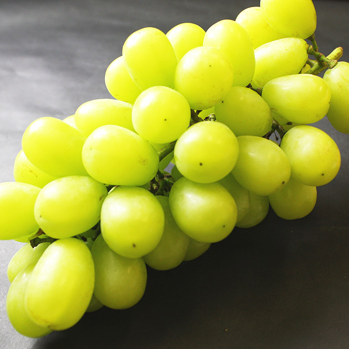 ★定期便3回★山形の人気フルーツ(さくらんぼ・白桃・シャ