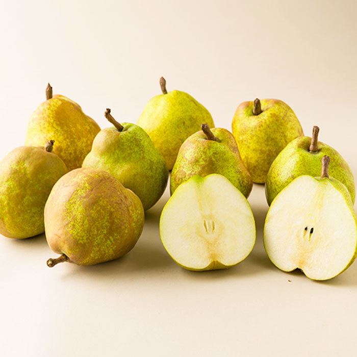 ★定期便3回★山形の夏から秋の人気フルーツ(白桃・シャイ