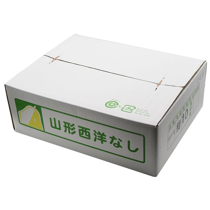 山形の洋梨 シルバーベル 秀品 約5kg(6～20玉) FZ23-312