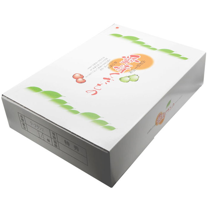 【特秀】山形の極上 ラフランス 特秀品 約5kg(12～16玉)[11月