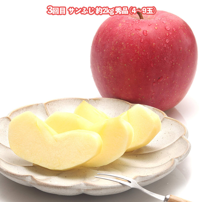 【定期便3回】美味しい秋冬フルーツベスト３ 【令和8年産