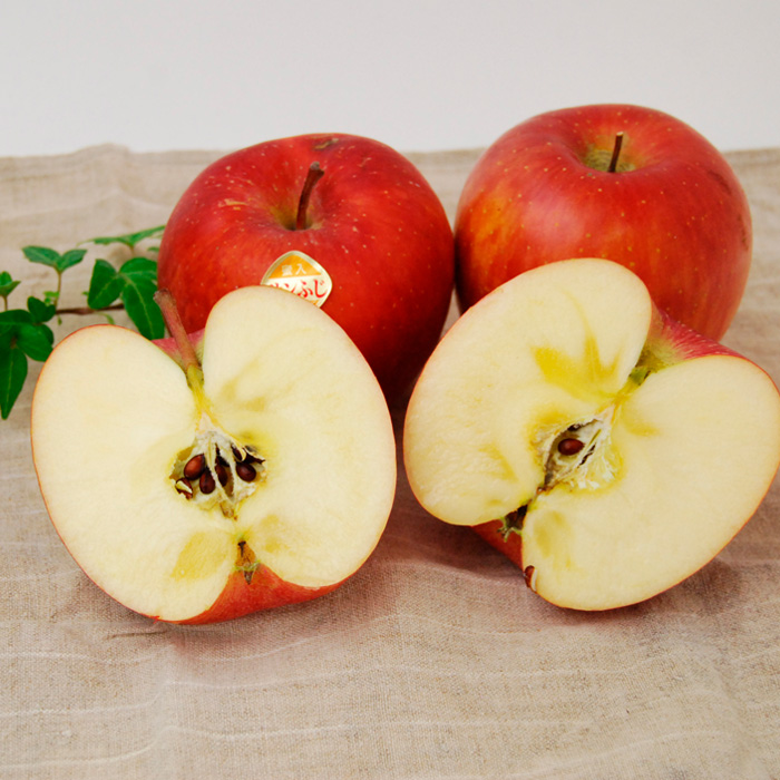 【秋から始まる定期便3回】山形のフルーツ定期便(シャイン