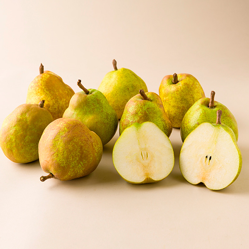 ★定期便3回★山形の洋梨食べつくし！(マリゲットマリーラ