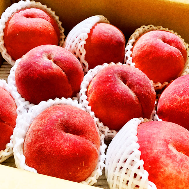 山形市産 白桃 [柔らかくなる桃] 秀品 約3kg (6玉～13玉)【令