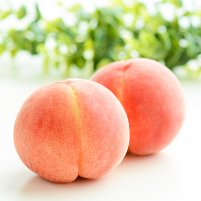 【定期便5回】おいしい！ジューシー！山形フルーツ　バラ