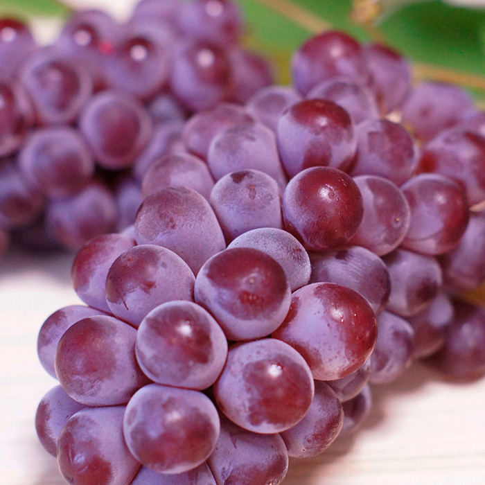 【定期便4回】イチオシフルーツ！やまがた宝箱B  FY25-822