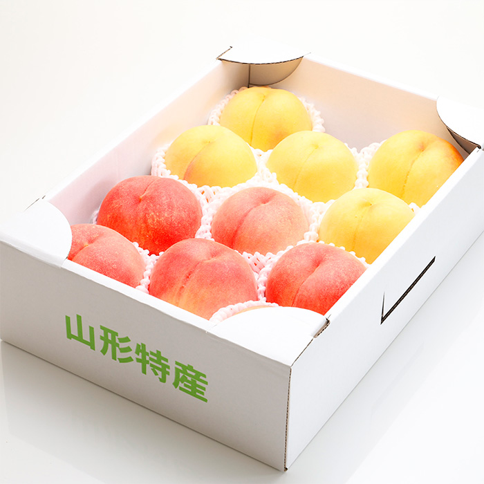 【定期便3回】旬のフルーツ　よくばり定期便 FY25-824