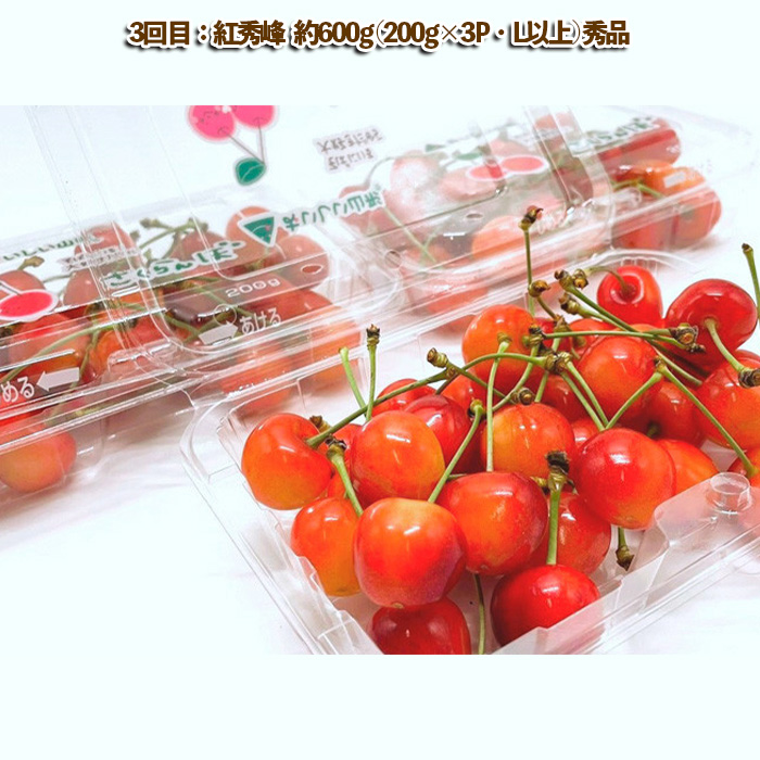 【定期便4回】山形を堪能！旬のフルーツ便り (2024秋～2025冬