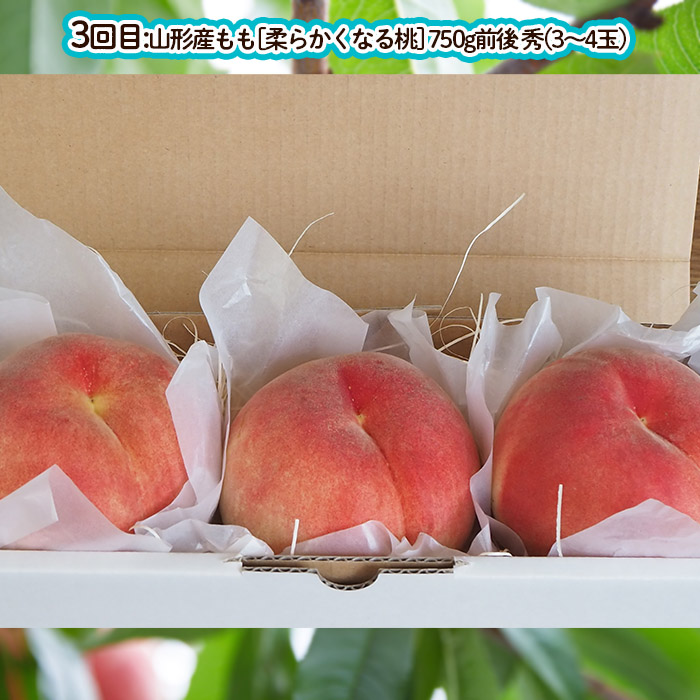 【定期便3回】山形の魅力3選！【肉そば・さくらんぼ・もも