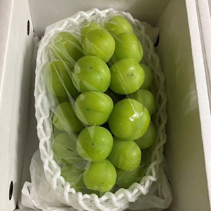 【定期便3回】農家さんおすすめ ～人気くだものトップ３！