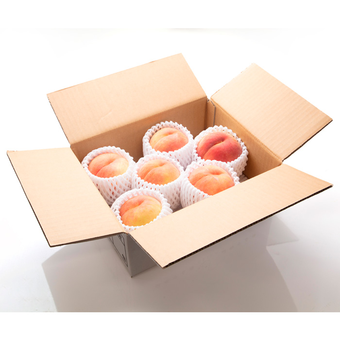 【定期便3回】山形の果物トップ３ 【令和8年産先行予約】FS