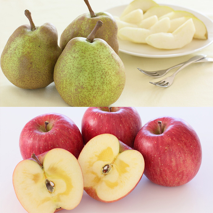 【定期便6回】山形の恵みB 【令和8年産先行予約】FS25-645