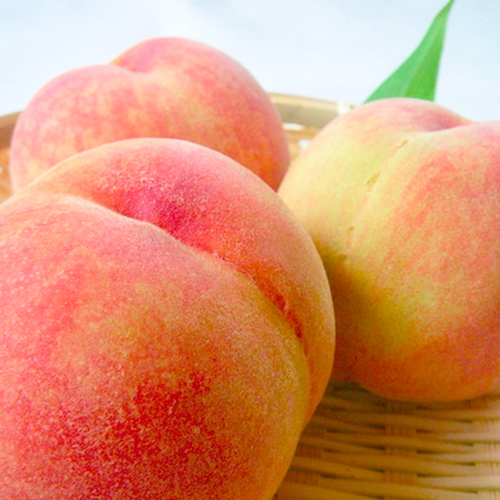 【定期便3回】桃三昧の幸せ便 【令和8年産先行予約】FS25-612