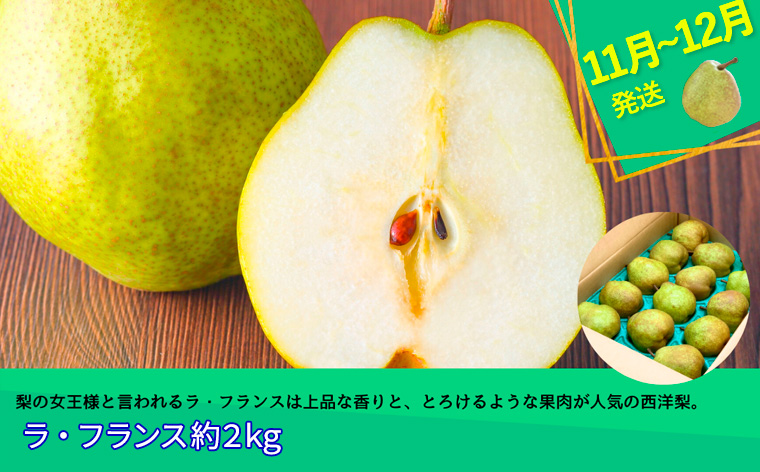 【定期便3回】やまがた フルーツ定期便 ”蔵王” 山形名物