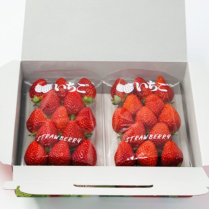 【定期便3回】やまがた 初夏さくらんぼから春いちごまでの