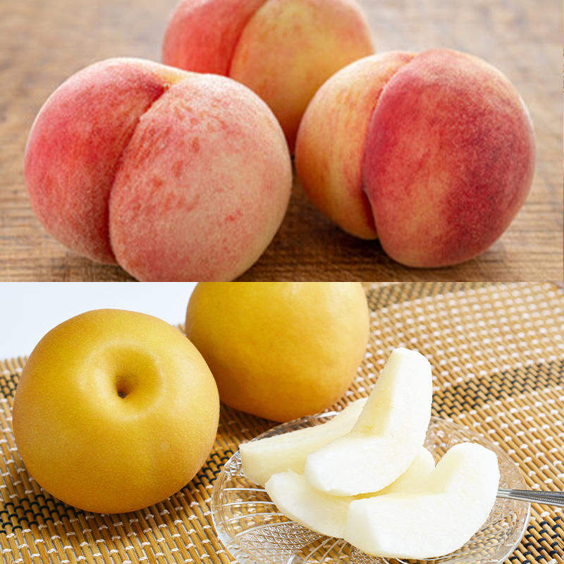 【定期便5回】やまがた浪漫B [さくらんぼ・デラウェアとブ