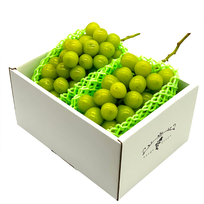 【定期便2回】おいしいやまがた さくらんぼとシャインマス