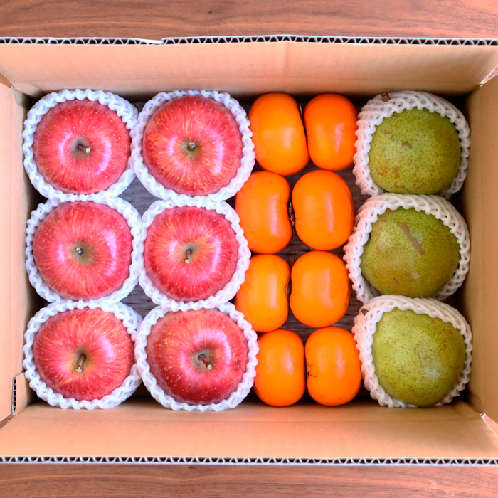 【定期便3回】山形バラエティフルーツ詰合せ 【令和8年産