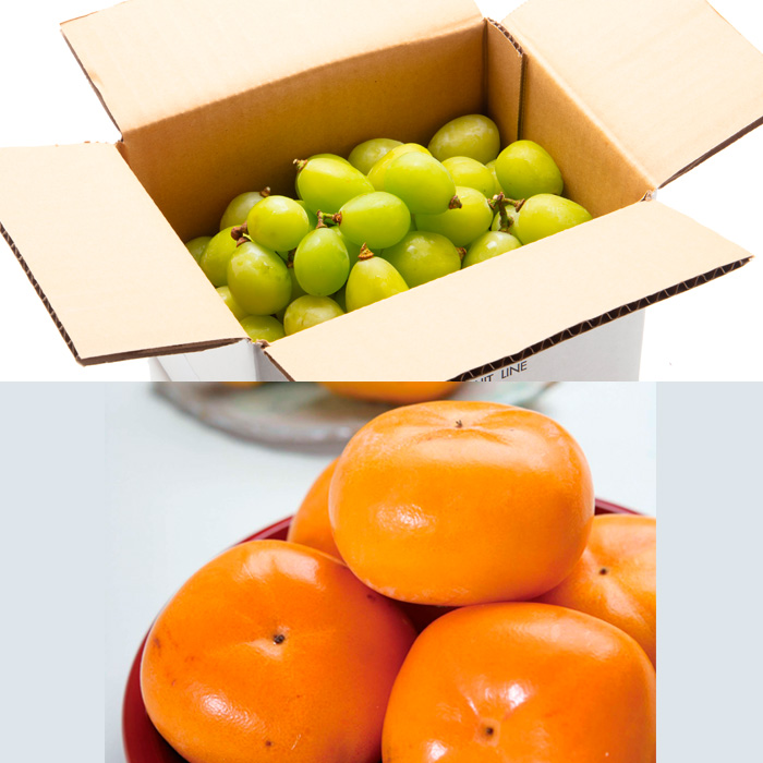 【定期便8回】フルーツちょこっと 【令和7年産先行予約】FS