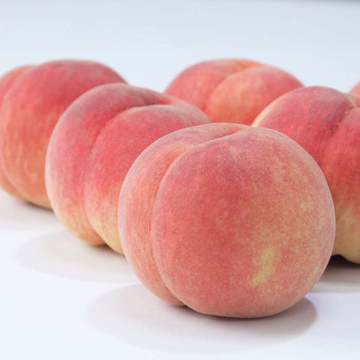 ☆フルーツ王国山形☆白桃 秀品 3kg [かたい桃]【令和8年産