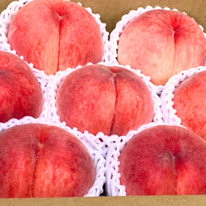 【定期便5回】やまがた ”初夏さくらんぼから冬りんご”ま