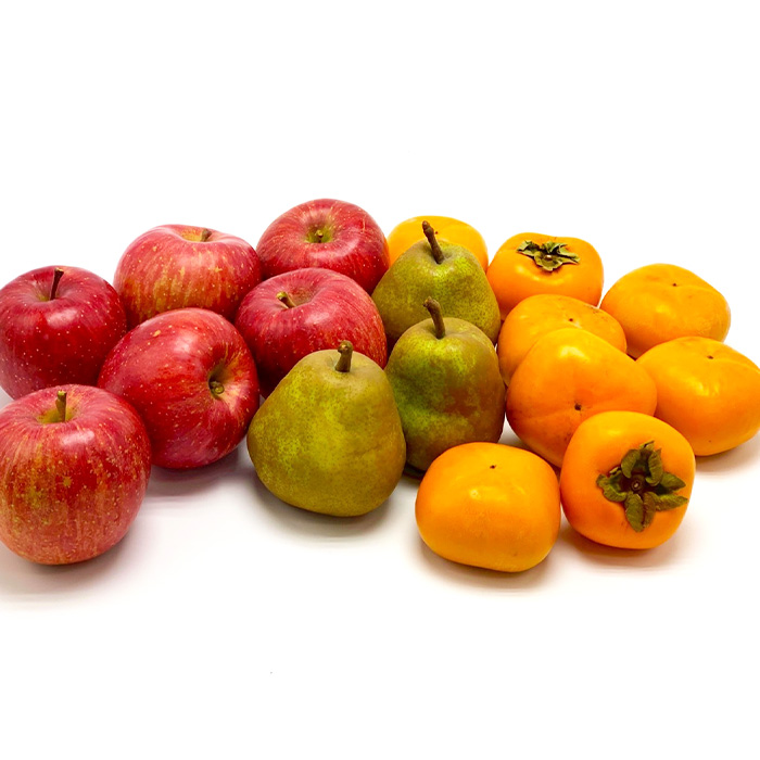 【定期便3回】やまがた秀逸フルーツ 贈答品クラス 【令和8