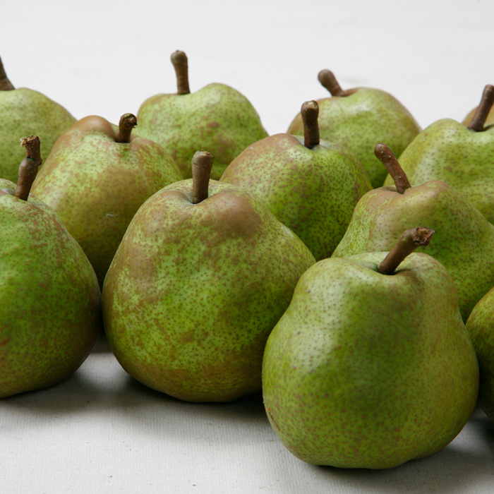 【定期便3回】山形のフルーツを食べ尽くし！厳選フルーツ