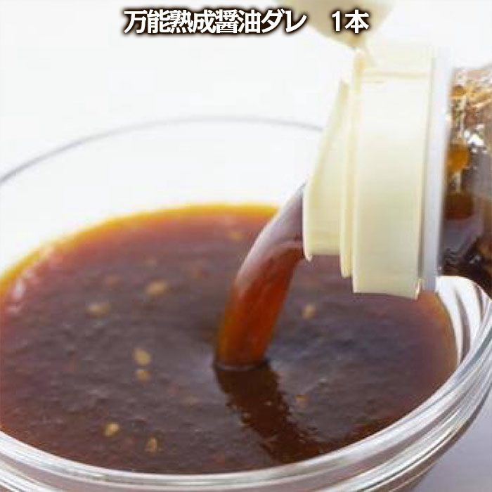 やたら売れてる焼肉屋の山形牛入りハンバーグ(120g×5)と万