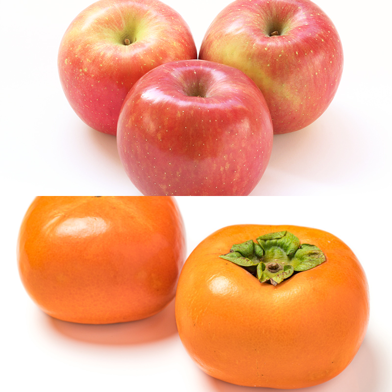 【定期便4回】山形秋の果物 満喫便【令和8年産先行予約】FS