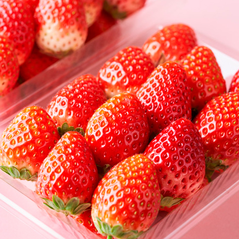 【定期便4回】ノノハナフルーツ　食べ切りおすすめ定期便 