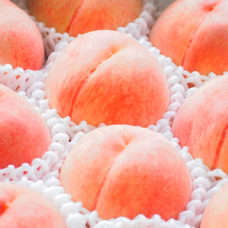 【定期便3回】桃！桃！桃！桃好きな方への食べ比べ定期便