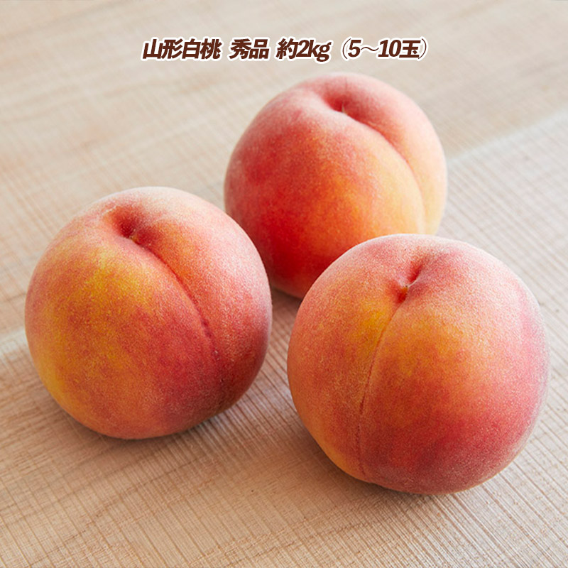 【定期便3回】皮ごとパリッ！ジューシーな果汁のシャイン