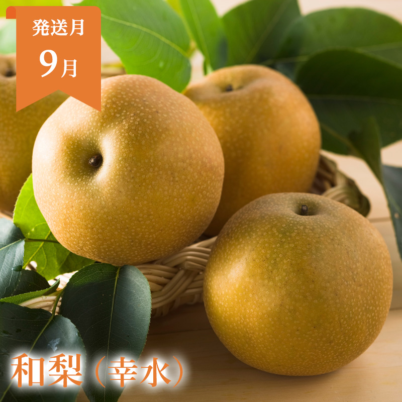 定期便5回】山形まるごと！人気のくだものベスト5 FZ25-958