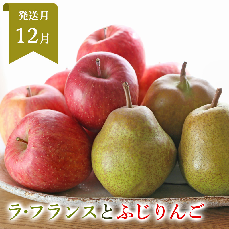 【定期便3回】山形まるごと！人気のくだものベスト3 FZ25-959