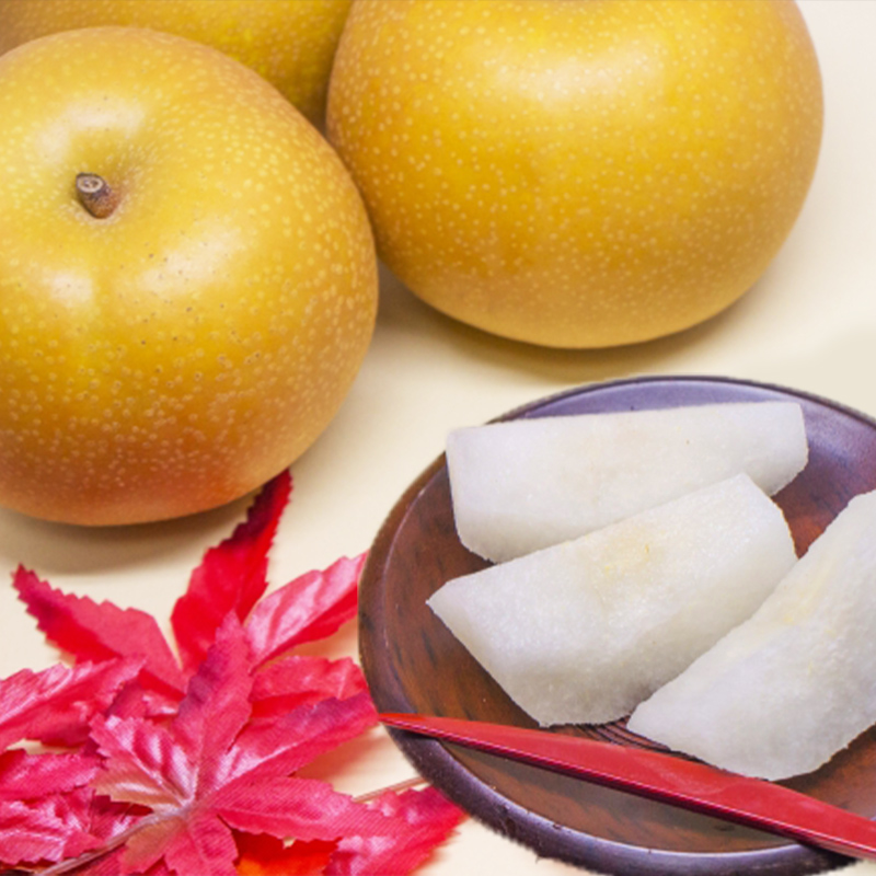 【定期便3回】やまがた 推しの果実【令和8年産先行予約】FS