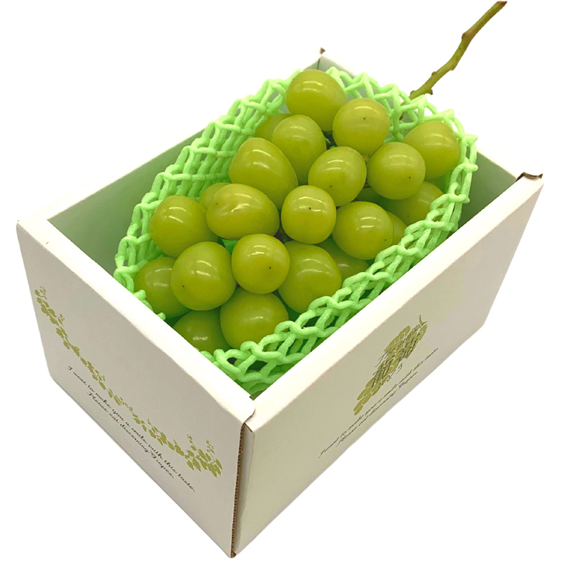 【定期便3回】やまがた みちのくフルーツ便 ”紅” 山形市