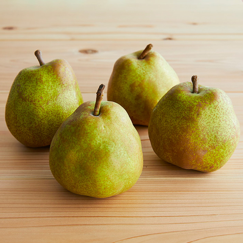 【定期便3回】山形夏から冬の人気果物ベスト3！ フルーツ