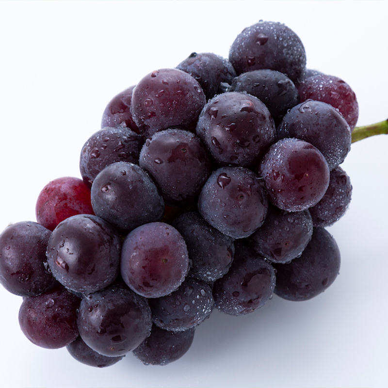 【定期便4回】桃！桃！ぶどう！ぶどう！農家自慢の旬のく