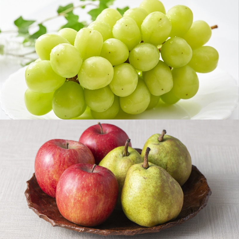 【定期便5回】さくらんぼ(紅秀峰)から始まるフルーツの幸