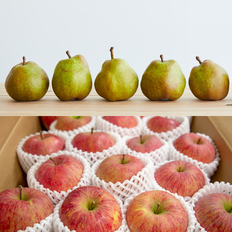 【定期便5回】★ファミリー向け★みんなでわいわい！山形