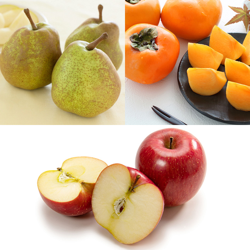 【定期便6回】季節のフルーツ幸せ便8種 【令和7年産先行予