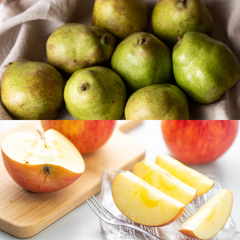 【定期便6回】ノノハナフルーツ さくらんぼからりんごまで