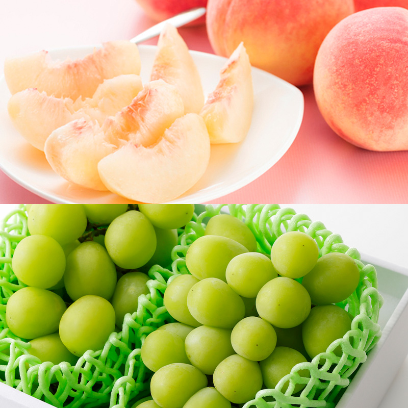 【定期便8回】ノノハナフルーツ やまがた旬暦定期便 【令