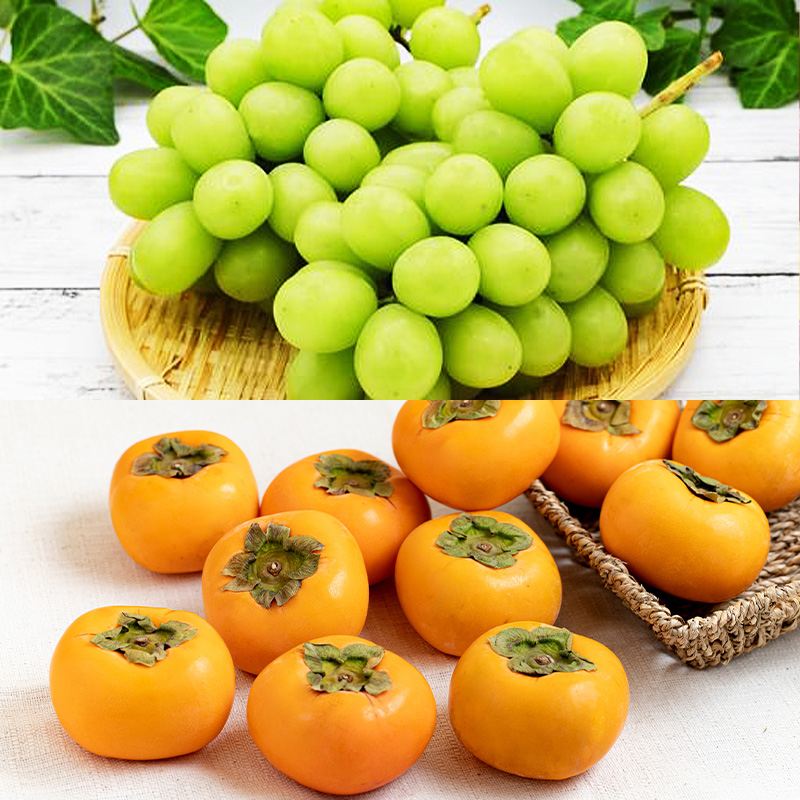 【定期便8回】人気フルーツ満喫便 【令和8年産先行予約】FS