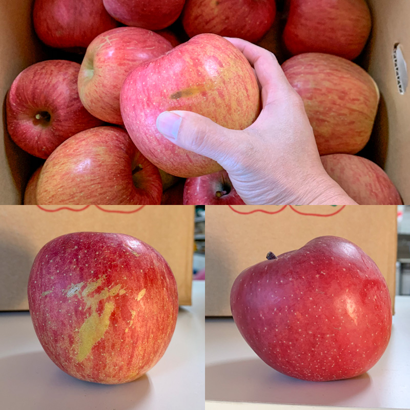 【定期便3回】★訳あり★秋の果実祭り定期便 色や形が訳あ